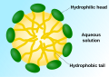 A micelle – the lipophilic ends of the surfactant molecules dissolve in the oil, while the hydrophilic charged ends remain outside in the water phase, shielding the rest of the hydrophobic micelle. In this way, the small oil droplet becomes water-soluble.