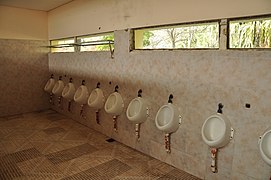 Waterless boys' urinals in Argentina