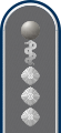 Stabsarzt (Army Medical Officer with the equivalent rank of Captain)