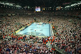 2009 World Men's Handball Championship