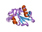 1rja: Solution Structure and Backbone Dynamics of the Nonreceptor Tyrosine Kinase PTK6/Brk SH2 Domain
