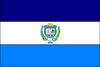 Flag of Iguaí