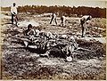 "African Americans collecting bones of soldiers killed at Cold Harbor (by John Reekie; issued as Stero #918, April 1865).[20] Note part of a series:[21]