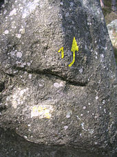Felsblock, auf den eine gelbe Eins und ein Pfeil gemalt wurden