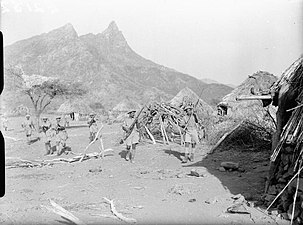 Indian soldiers clear Eritrean village