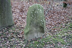 Menhir von Bad Säckingen