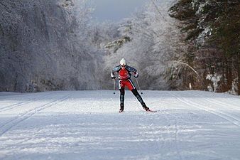 A skate-skier in Gatineau Park, Quebec, a North American groomed-trail ski venue.