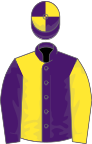 Purple and yellow halved, sleeves reversed, quartered cap