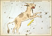 Plate 8: Lynx and Telescopium Herschilii