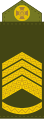 Головний майстер-сержант (Chief Master Sergeant)
