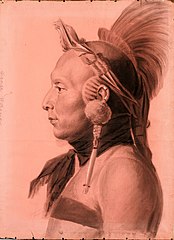 Unidentified Osage Warrior Wearing Bird Headdress, 1807 (New-York Historical Society)