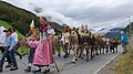 Image 2Farmer families, dressed in traditional clothing, guiding cattle down from the Swiss Alps. (from Culture of Switzerland)