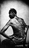 A slave who had been whipped