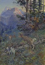 Deer in Forest (White Tailed Deer), 1917, Oil on canvasboard[27]