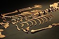 Skelett, 9.850 Jahre alt