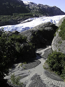 Front des Exit-Gletschers