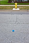 A blue reflector marks the location of the fire hydrant