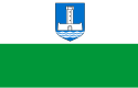 Flag of Järva County
