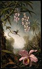 Orchids and Spray Orchids with Hummingbird, about 1875–1890