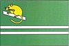 Flag of Plchovice