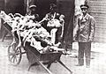 Image 8Emaciated corpses of children in Warsaw Ghetto.
