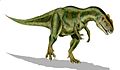 Allosaurus, an allosaurid from North America