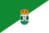 Flag of El Álamo