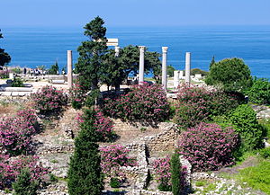 Image of a seaside hill. Oleander bushes with abundant pink blooms, a stone pine, and a number of cypress trees intertwine with ancient stone ruins and six composite Roman columns. Fenced-off burial shafts and a group of tourists appears in the image. A large expanse of sea is in the background.
