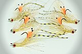 Bonefish shrimp fly