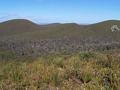 A heath landscape in the Stirling mountains of Western Australia, with a "dieback"-infested valley in the mid-ground