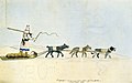 Image 8Sled dog types, sketched in 1833 (from Domestication of the dog)