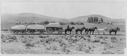 Freight wagons, USA 1905