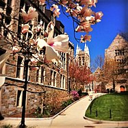 Gasson Hall in summer