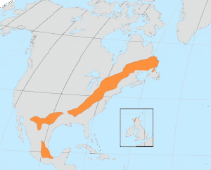 Extent of the Grenville orogeny