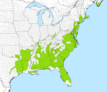Map of the southeastern United States showing the species' distribution in green, including a disjunct population in Nova Scotia, Canada