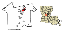Location of Pineville in Rapides Parish, Louisiana.