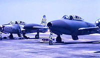 Republic F-84G-2-RE Thunderjet 51-9674 of the 492nd FBS, alongside a 492nd FBS F-84G in an experimental camouflage motif, 1954.