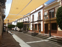 Calle Navarro Caro