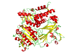 Conformation of the CopII protein that is complexed with the snare protein Sed5 (PDB: 1PD0​).[8]