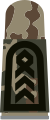 Aufschiebeschlaufen mit schwarzen Em­blemen auf 3-Far­ben-Flecktarn für Heeresuniformträger (hier: Oberstabs­feldwebel Heeres­fliegertruppe)