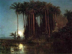Moonlight over a Marsh in Ecuador (1858)