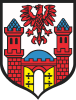 Coat of arms of Gmina Trzcińsko-Zdrój