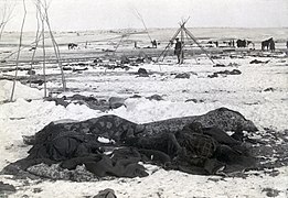 Wounded Knee aftermath3
