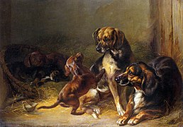 Dogs and Whelps (1853)