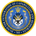 Deputy Chief of Naval Operations for Integration of Capabilities and Resources