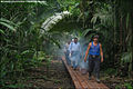 Image 4A low impact trail built for ecotourists to protect an archeological site in Guatemala