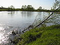 Liwiec−Liw river.