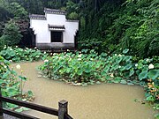 A lotus pond at Qiandao Lake