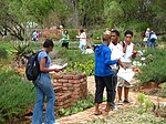 Students completing practical assignments in the Garden