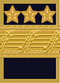 Flight suit sleeve insignia (Ärmmatta m/02) for a lieutenant general[7] (1972–present)